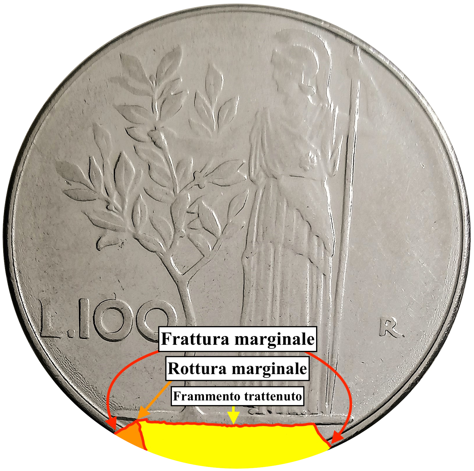 sena coins